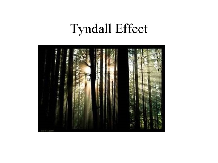 Tyndall Effect Tyndall Effect