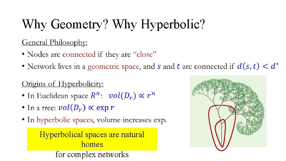 Why Geometry? Why Hyperbolic? • Hyperbolical spaces are natural homes for complex networks 