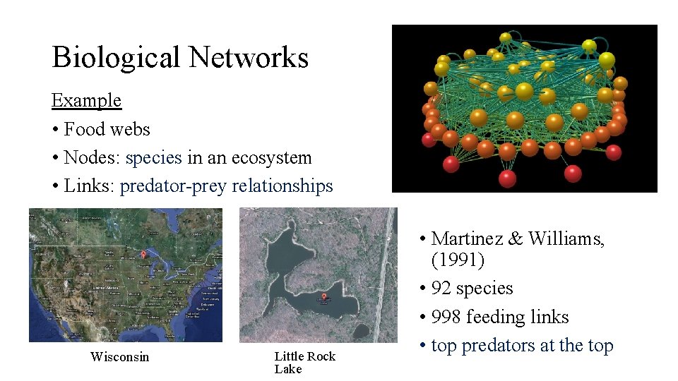 Biological Networks Example • Food webs • Nodes: species in an ecosystem • Links: