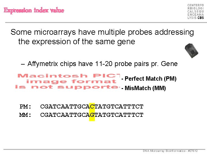 Expression index value Some microarrays have multiple probes addressing the expression of the same
