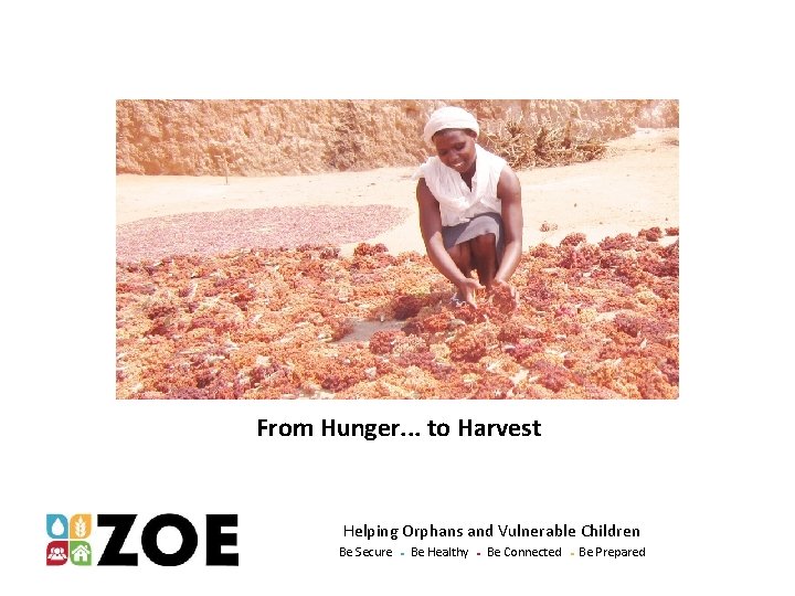 From Hunger. . . to Harvest Helping Orphans and Vulnerable Children Be Secure ●