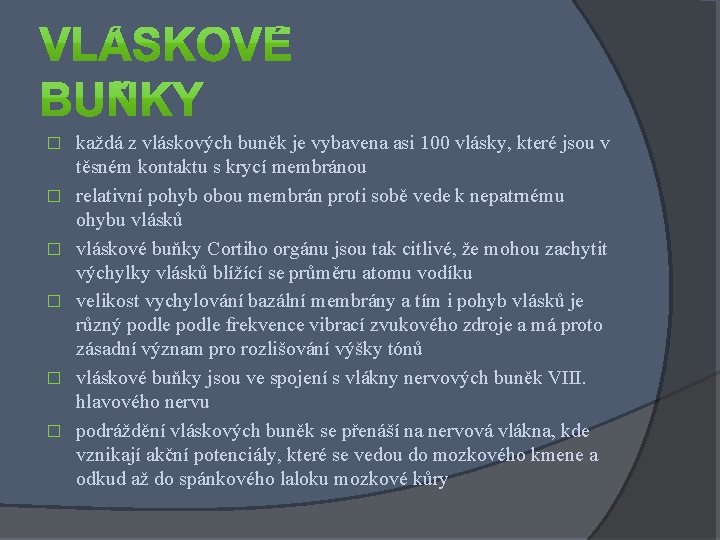 � � � každá z vláskových buněk je vybavena asi 100 vlásky, které jsou