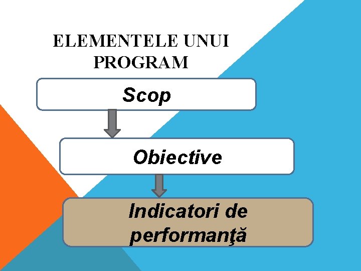 ELEMENTELE UNUI PROGRAM Scop Obiective Indicatori de performanţă 