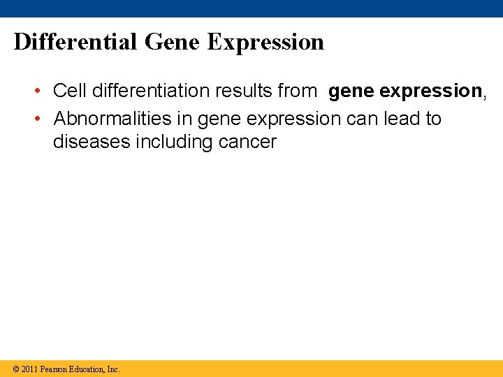 Differential Gene Expression • Cell differentiation results from gene expression, • Abnormalities in gene