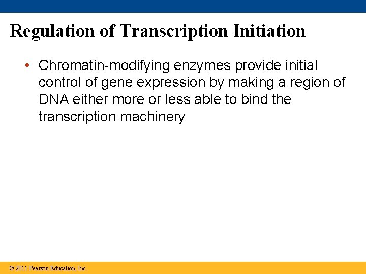 Regulation of Transcription Initiation • Chromatin-modifying enzymes provide initial control of gene expression by