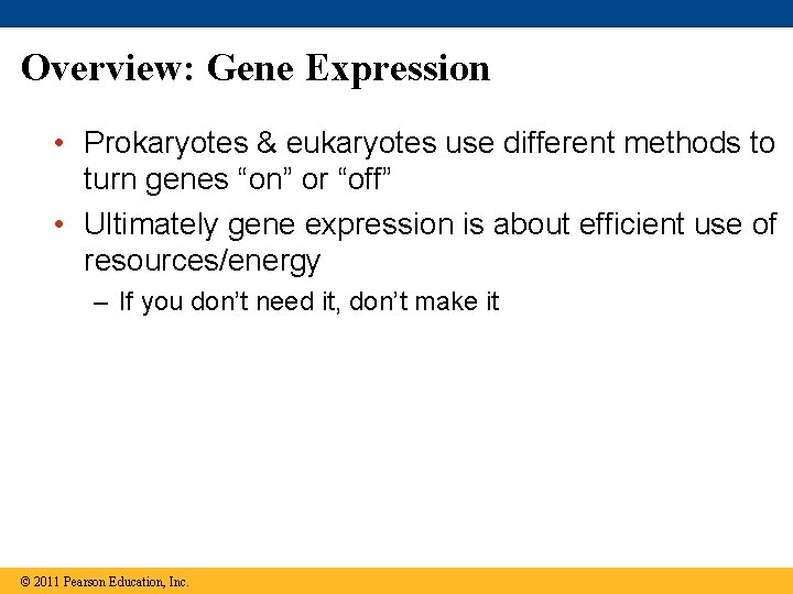 Overview: Gene Expression • Prokaryotes & eukaryotes use different methods to turn genes “on”