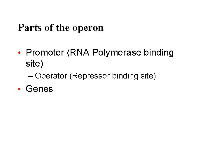 Parts of the operon • Promoter (RNA Polymerase binding site) – Operator (Repressor binding