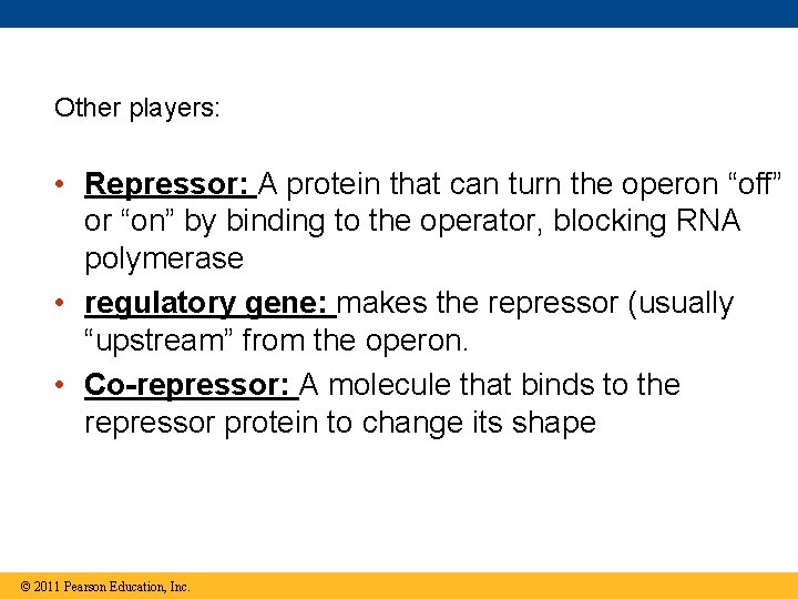 Other players: • Repressor: A protein that can turn the operon “off” or “on”