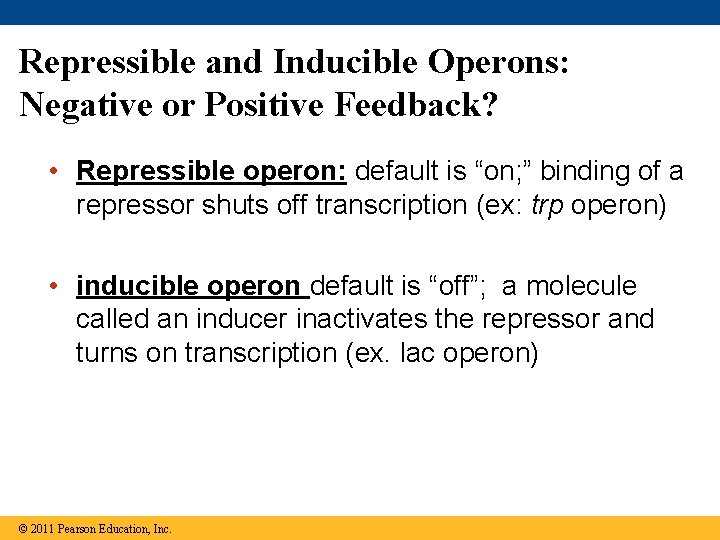 Repressible and Inducible Operons: Negative or Positive Feedback? • Repressible operon: default is “on;