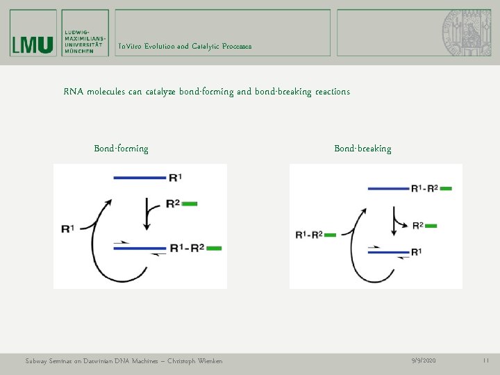 In. Vitro Evolution and Catalytic Processes RNA molecules can catalyze bond-forming and bond-breaking reactions