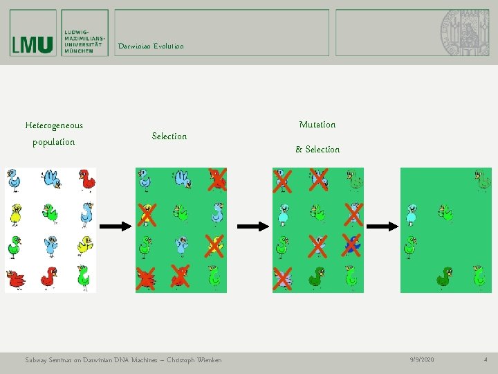 Darwinian Evolution Heterogeneous population Selection Subway Seminar on Darwinian DNA Machines – Christoph Wienken