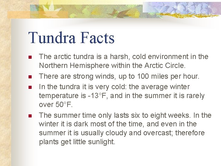 Tundra Facts n n The arctic tundra is a harsh, cold environment in the