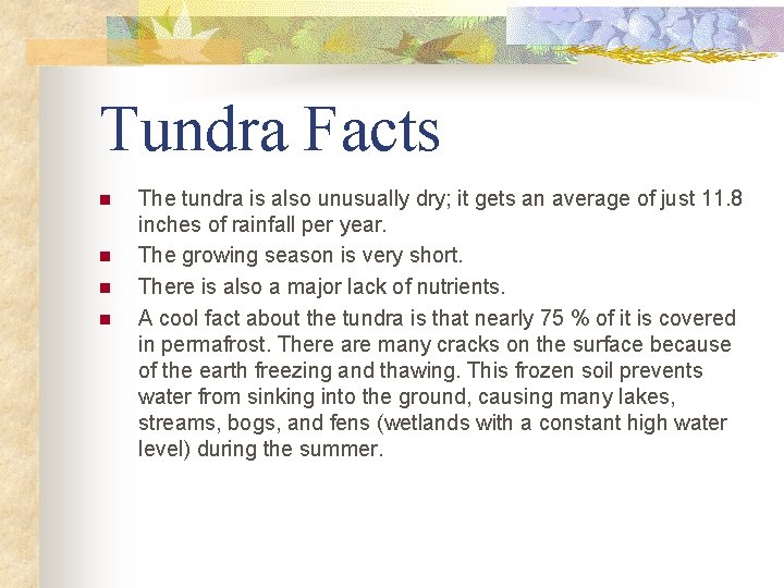 Tundra Facts n n The tundra is also unusually dry; it gets an average