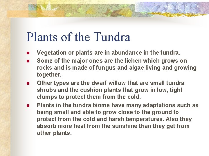 Plants of the Tundra n n Vegetation or plants are in abundance in the