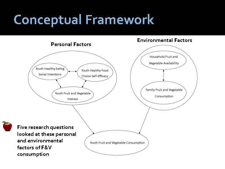 Conceptual Framework Personal Factors Five research questions looked at these personal and environmental factors
