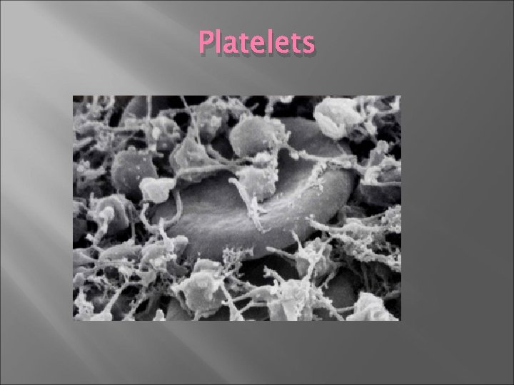 Platelets 