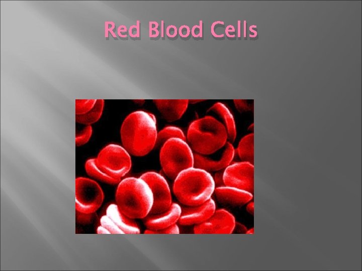 Red Blood Cells 