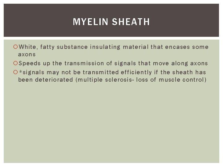 MYELIN SHEATH White, fatty substance insulating material that encases some axons Speeds up the