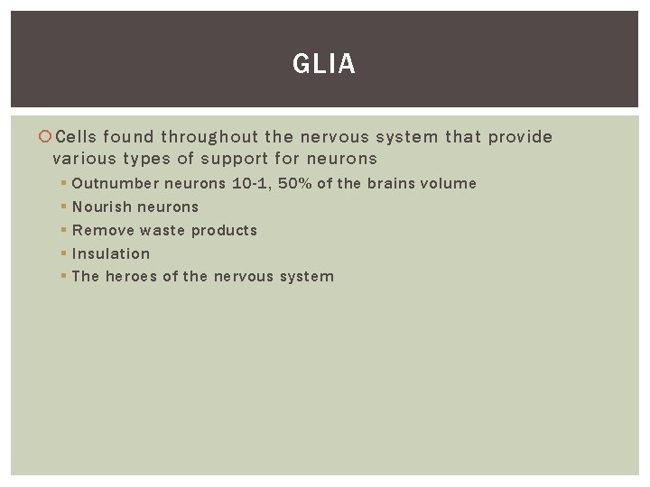 GLIA Cells found throughout the nervous system that provide various types of support for