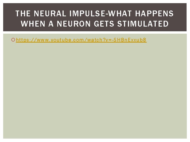 THE NEURAL IMPULSE-WHAT HAPPENS WHEN A NEURON GETS STIMULATED https: //www. youtube. com/watch? v=-SHBn.
