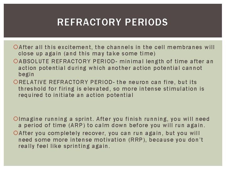 REFRACTORY PERIODS After all this excitement, the channels in the cell membranes will close