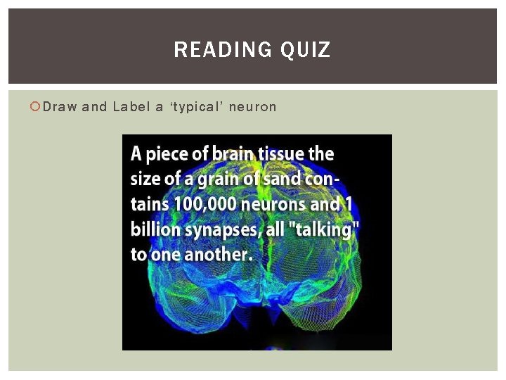 READING QUIZ Draw and Label a ‘typical’ neuron 