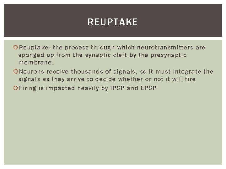 REUPTAKE Reuptake- the process through which neurotransmitters are sponged up from the synaptic cleft