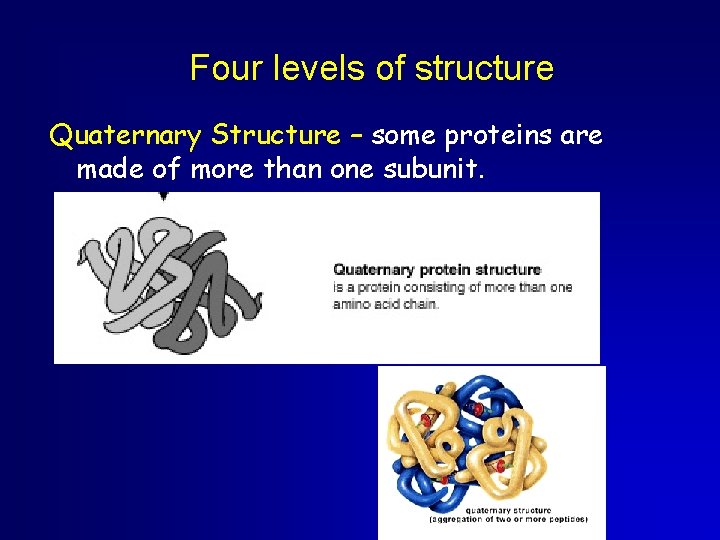 Four levels of structure Quaternary Structure – some proteins are made of more than