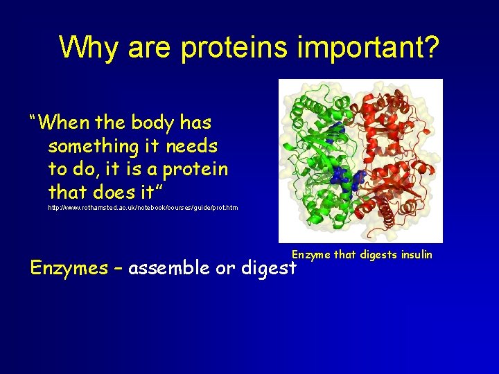 Why are proteins important? “When the body has something it needs to do, it