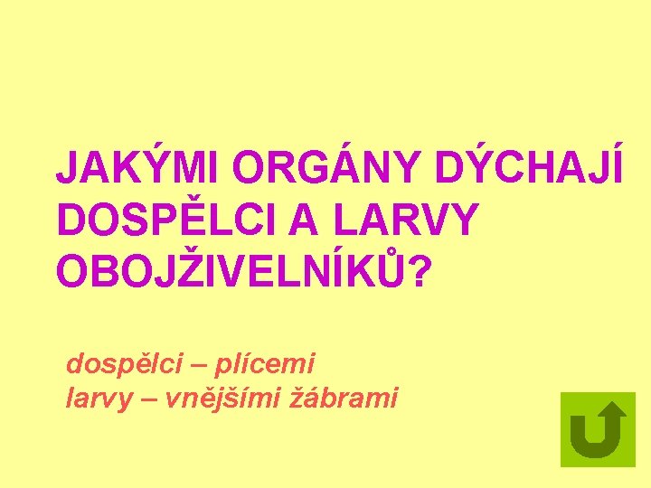 JAKÝMI ORGÁNY DÝCHAJÍ DOSPĚLCI A LARVY OBOJŽIVELNÍKŮ? dospělci – plícemi larvy – vnějšími žábrami