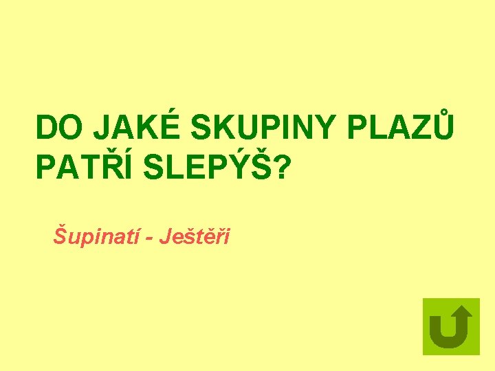 DO JAKÉ SKUPINY PLAZŮ PATŘÍ SLEPÝŠ? Šupinatí - Ještěři 