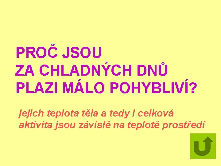 PROČ JSOU ZA CHLADNÝCH DNŮ PLAZI MÁLO POHYBLIVÍ? jejich teplota těla a tedy i