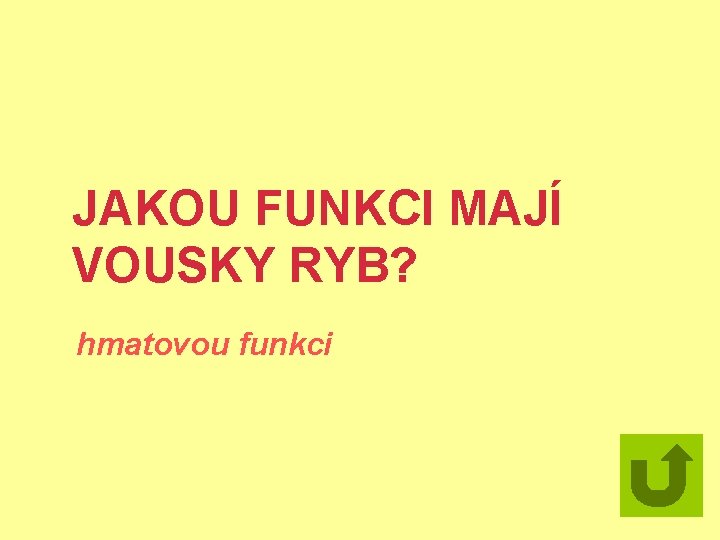 JAKOU FUNKCI MAJÍ VOUSKY RYB? hmatovou funkci 