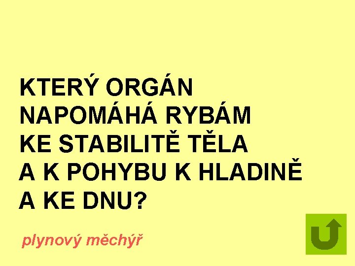 KTERÝ ORGÁN NAPOMÁHÁ RYBÁM KE STABILITĚ TĚLA A K POHYBU K HLADINĚ A KE