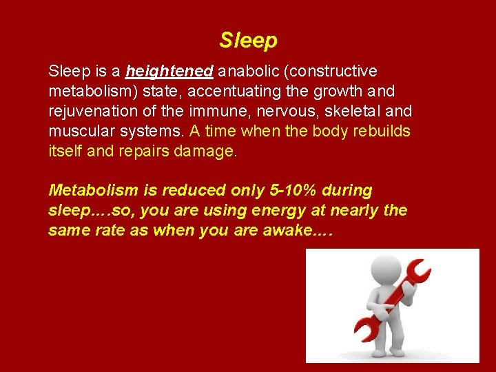 Sleep is a heightened anabolic (constructive metabolism) state, accentuating the growth and rejuvenation of