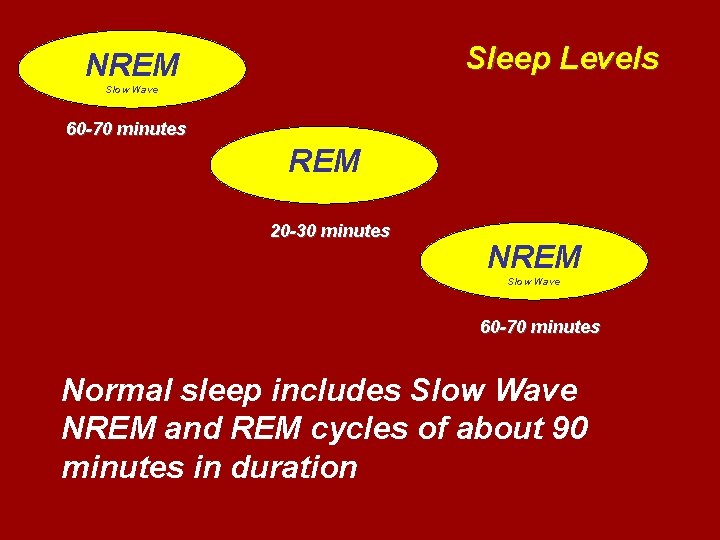 Sleep Levels NREM Slow Wave 60 -70 minutes REM 20 -30 minutes NREM Slow