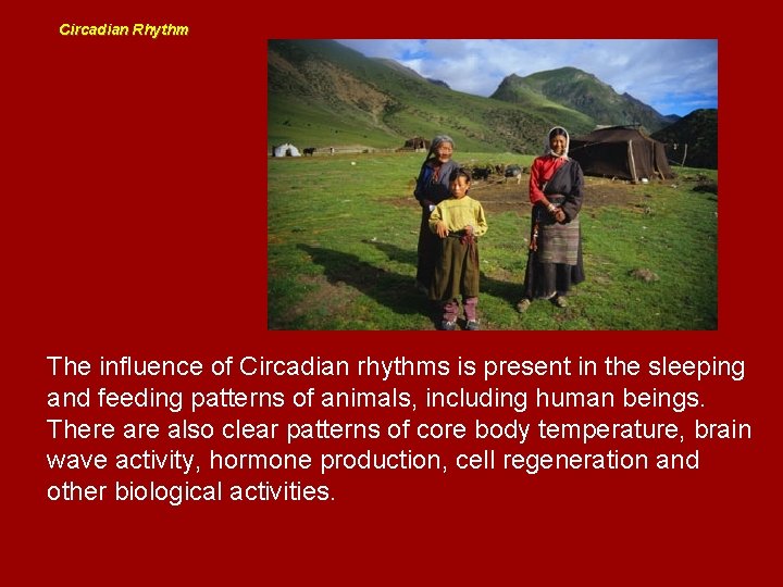 Circadian Rhythm The influence of Circadian rhythms is present in the sleeping and feeding