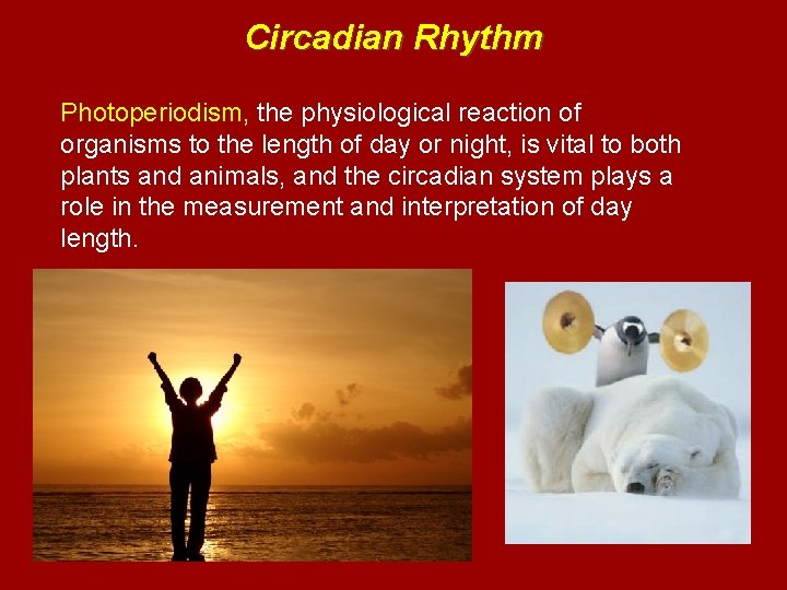 Circadian Rhythm Photoperiodism, the physiological reaction of organisms to the length of day or