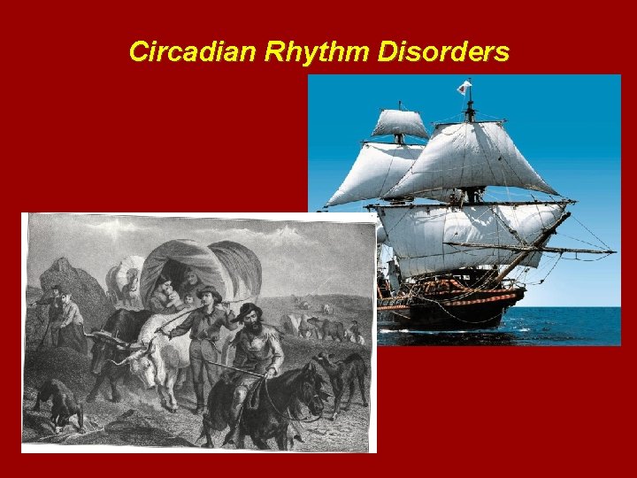 Circadian Rhythm Disorders 