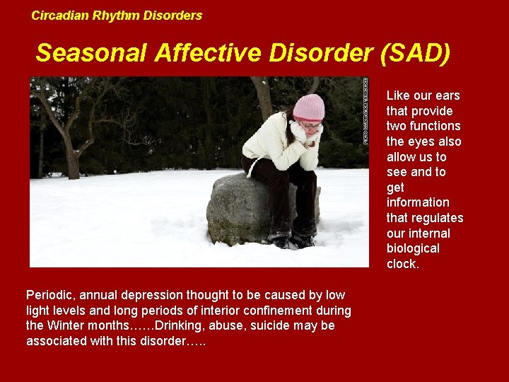 Circadian Rhythm Disorders Seasonal Affective Disorder (SAD) Like our ears that provide two functions