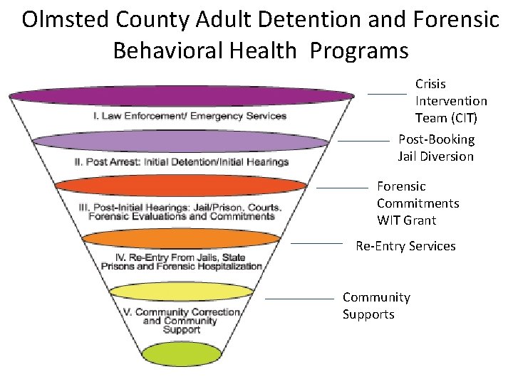 Olmsted County Adult Detention and Forensic Behavioral Health Programs Crisis Intervention Team (CIT) Post-Booking