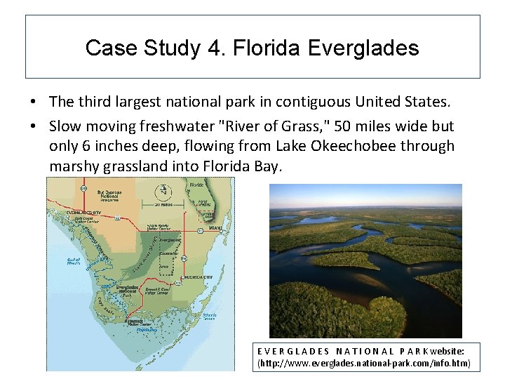 Case Study 4. Florida Everglades • The third largest national park in contiguous United