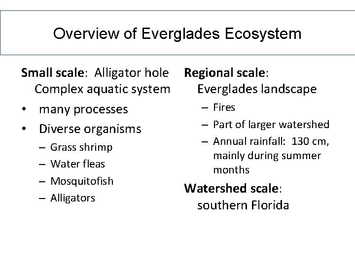 Overview of Everglades Ecosystem Small scale: Alligator hole Regional scale: Everglades landscape Complex aquatic Overview of Everglades Ecosystem Small scale: Alligator hole Regional scale: Everglades landscape Complex aquatic