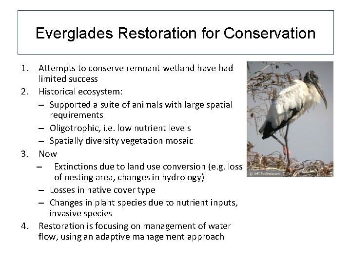 Everglades Restoration for Conservation 1. Attempts to conserve remnant wetland have had limited success Everglades Restoration for Conservation 1. Attempts to conserve remnant wetland have had limited success