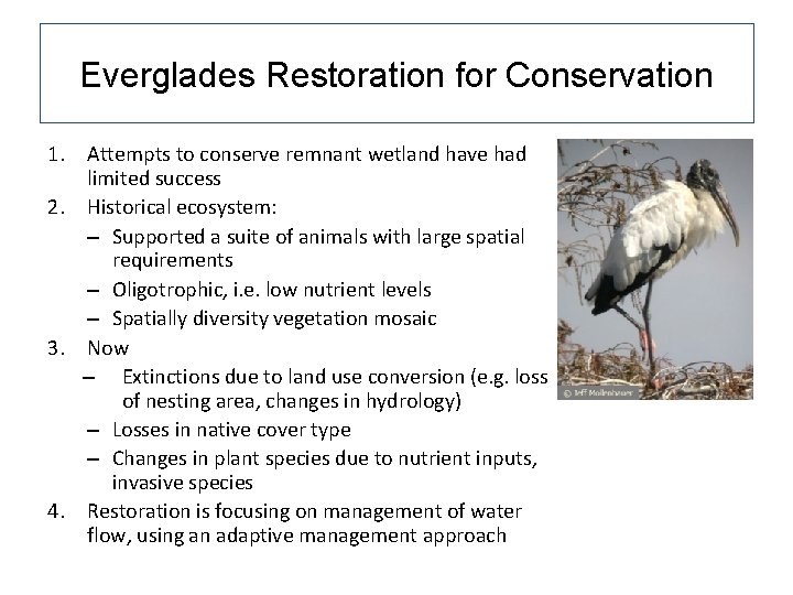 Everglades Restoration for Conservation 1. Attempts to conserve remnant wetland have had limited success