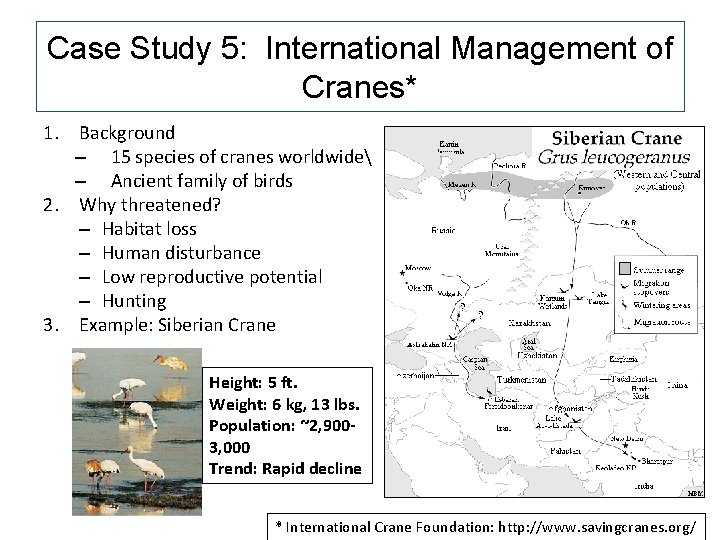 Case Study 5: International Management of Cranes* 1. Background – 15 species of cranes