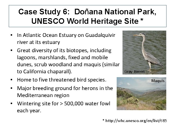 Case Study 6: Doñana National Park, UNESCO World Heritage Site * • In Atlantic