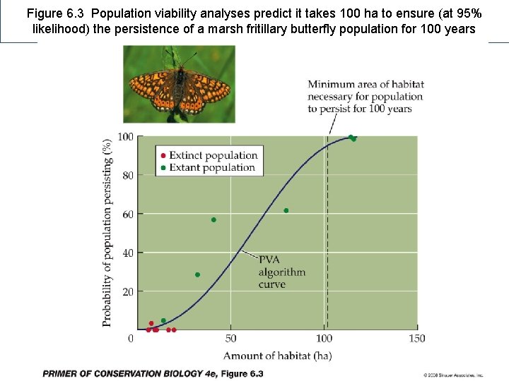 Figure 6. 3 Population viability analyses predict it takes 100 ha to ensure (at