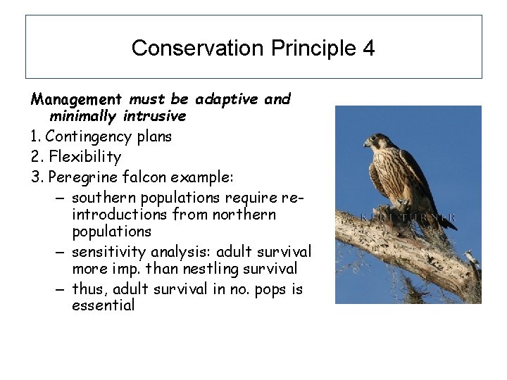 Conservation Principle 4 Management must be adaptive and minimally intrusive 1. Contingency plans 2. Conservation Principle 4 Management must be adaptive and minimally intrusive 1. Contingency plans 2.