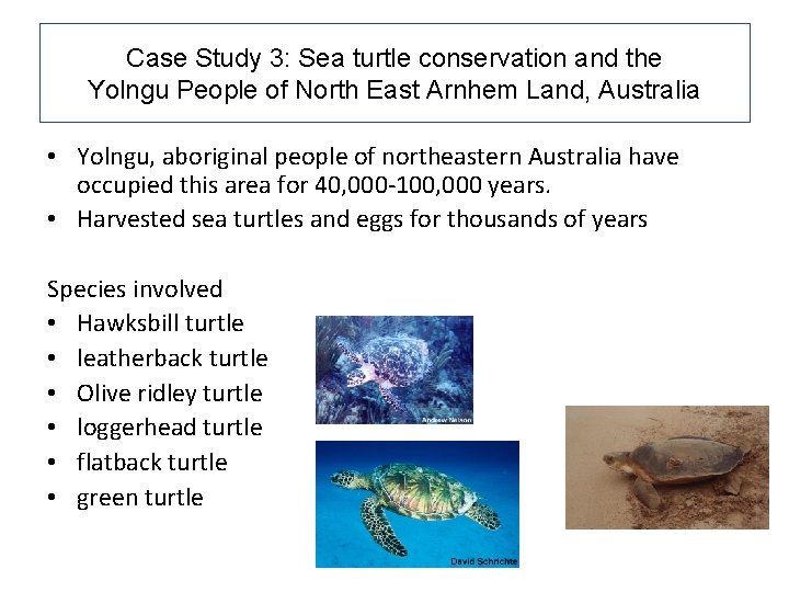 Case Study 3: Sea turtle conservation and the Yolngu People of North East Arnhem